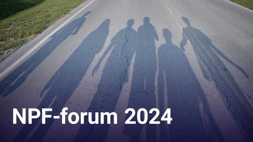 NPF-forum 2024
