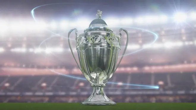 Coupe de France: Finale : Olympique Lyonnais - Paris Saint-Germain