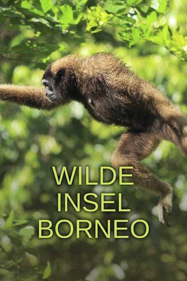 Wilde Insel Borneo