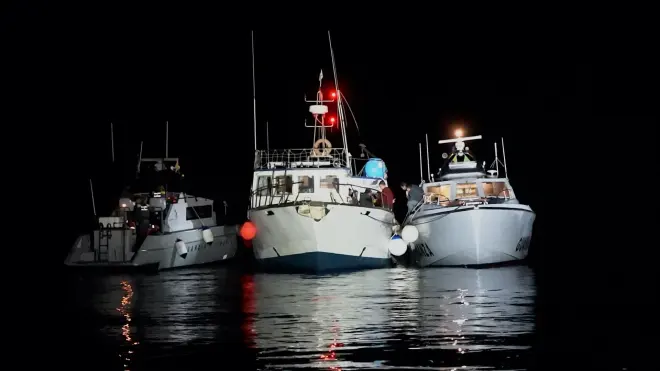 Les sentinelles de la mer