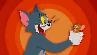Tom & Jerry: The Witches Cat