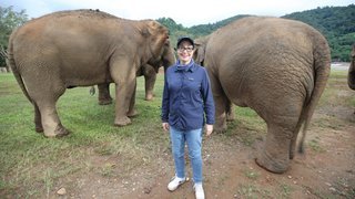 New: Sue Perkins: Lost in Thailand