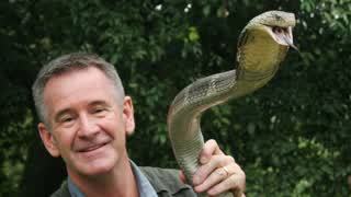 China's 10 Deadliest Snakes with Nigel Marven