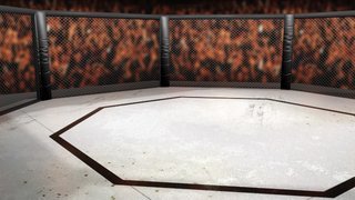 UFC Fight Night - Barboza v Murphy
